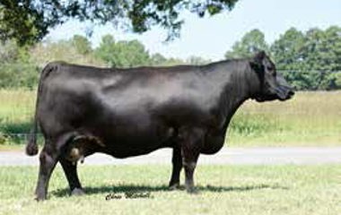 Lot 37 - 921U HIGHMORE 633D ET